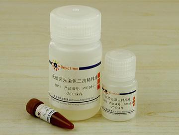 免疫荧光染色试剂盒-抗小鼠Alexa Fluor 488